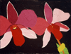 2 FLOWERS ON DARK BACKGROUND