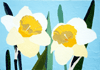 NARCISSI